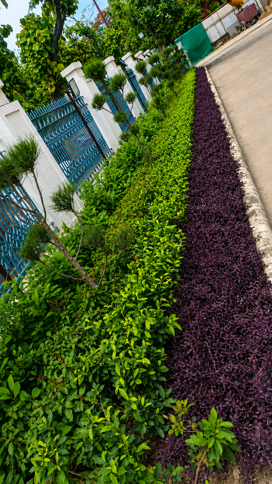 Landscape work by Total Green Solutions