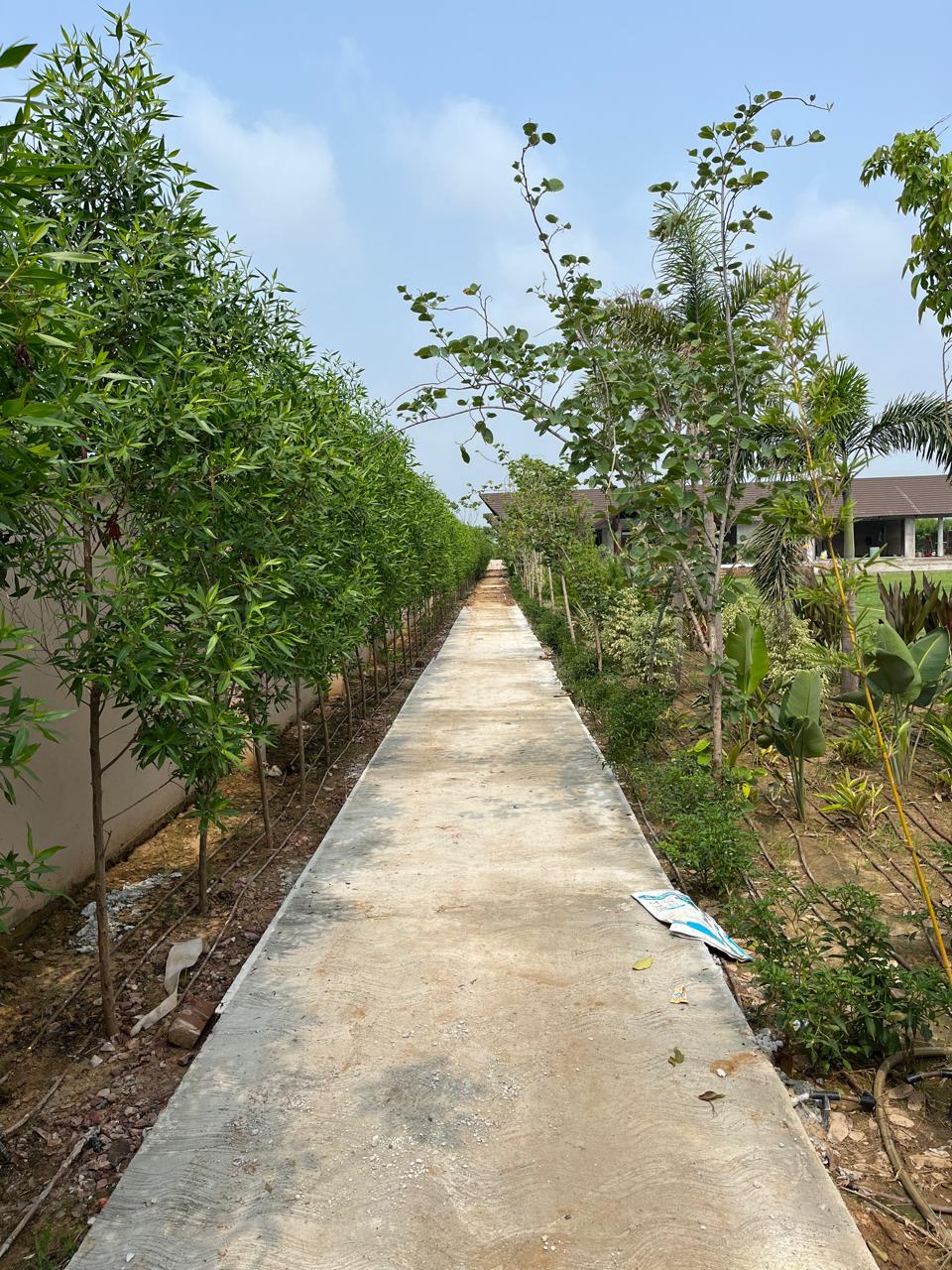 Total Green Solutions Landscape Contractor in Uttar Pradesh