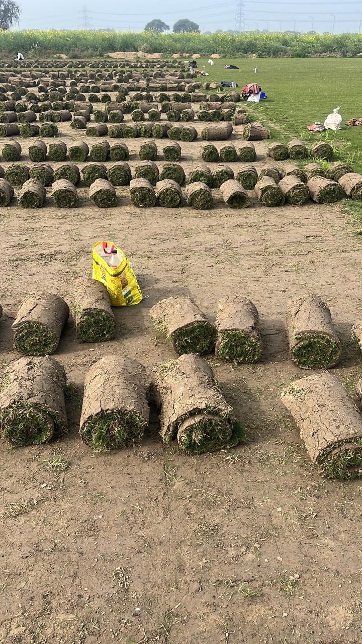 Growing Landscaping Demand in Uttar Pradesh