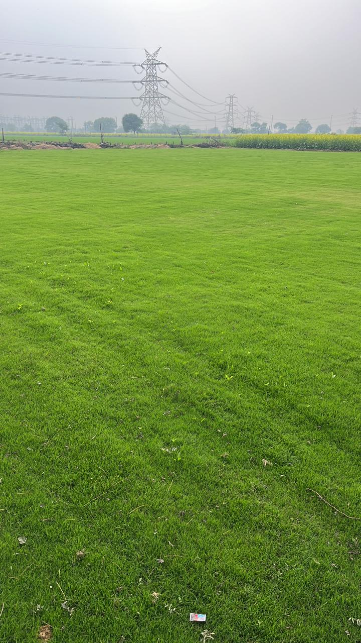Landscape Project Execution and Delivery in Uttar Pradesh